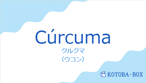 クルクマ（スペイン語:Cúrcumaの発音と意味）