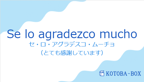 セ・ロ・アグラデスコ・ムーチョ（スペイン語:Se lo agradezco muchoの発音と意味）